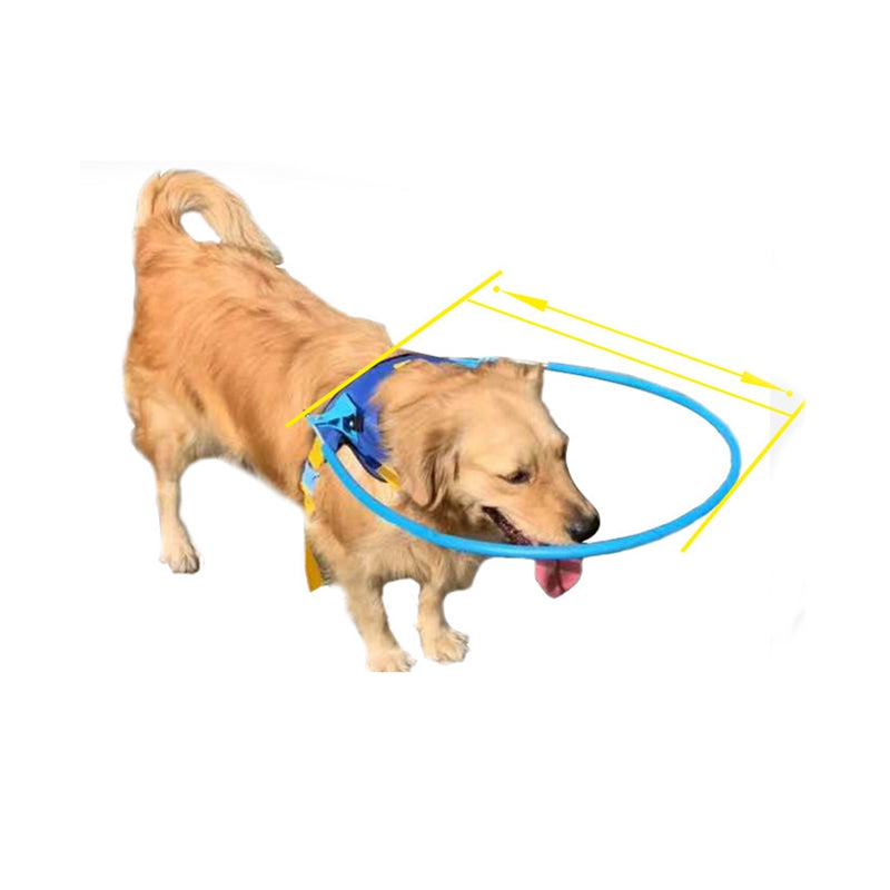 Blind Dog Halo Harness