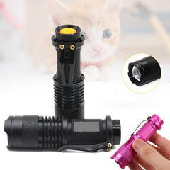 Portable UV Flashlight for Pet Urine Test Face Mask Makeup Test Ultraviolet Light Detector AA Batteries Not Included